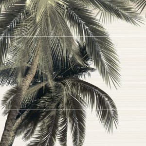 панноп3