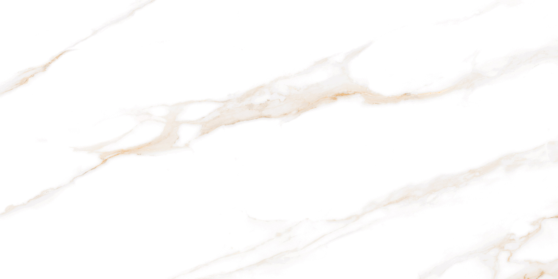 Calacatta Regal Gold Керамогранит белый 60×120 Полированный