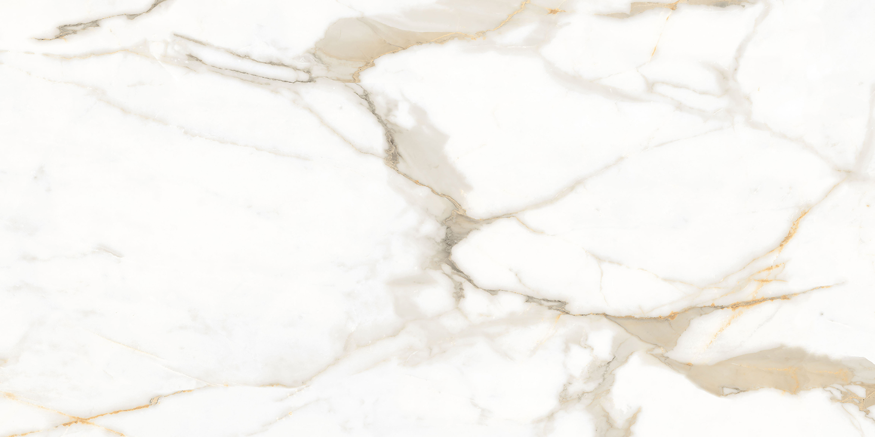 Calacatta Superior Керамогранит белый 60×120 Полированный