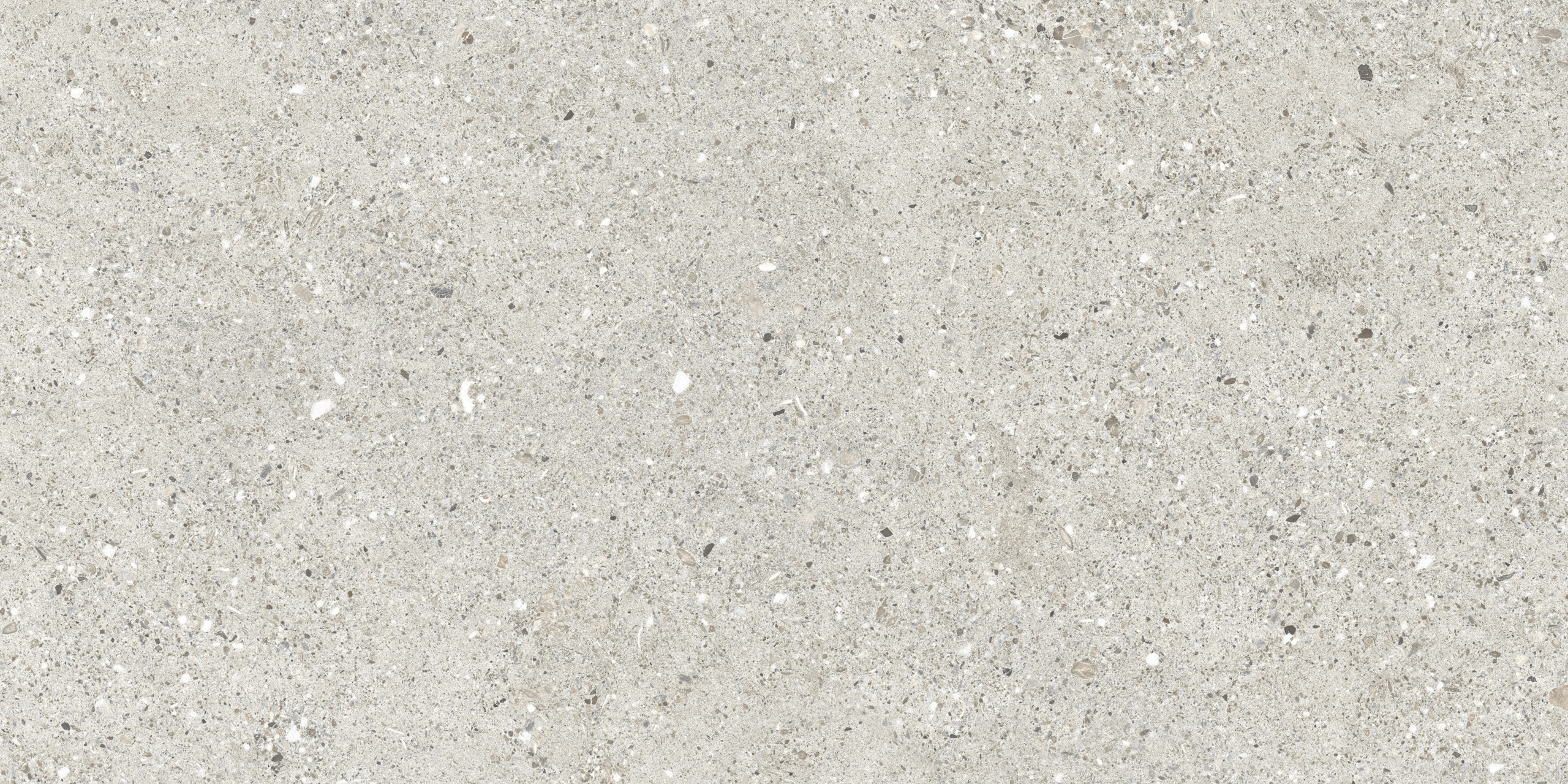 Granito Grigio Керамогранит серый CR6012G0471R 59,5×119,1 матовый