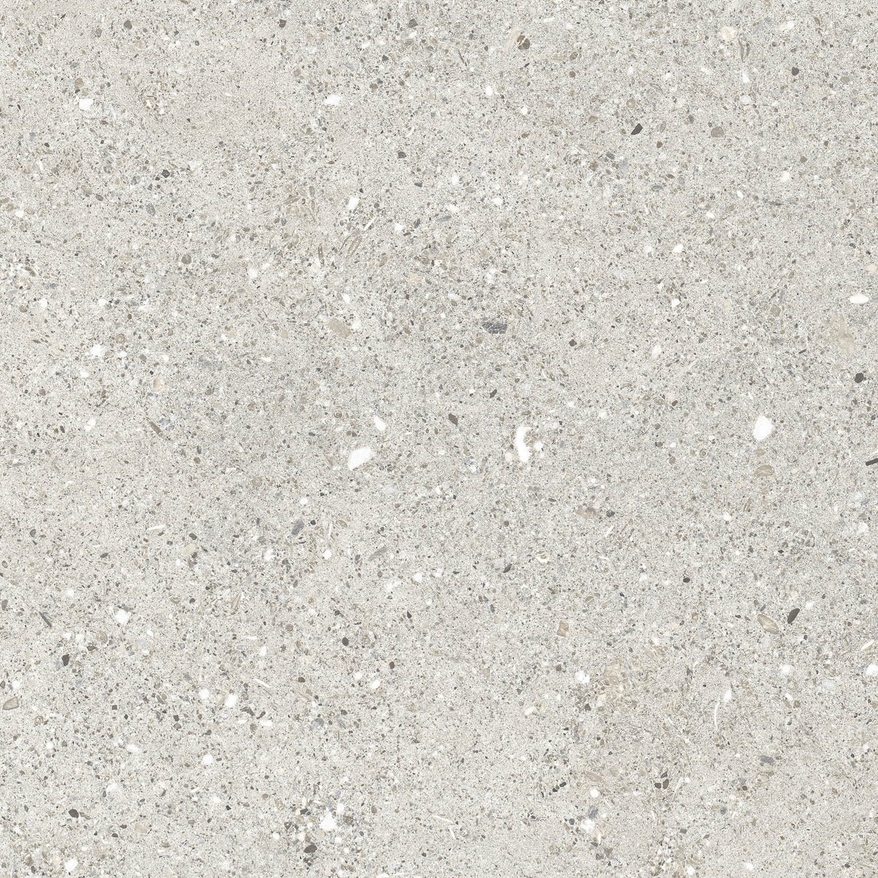 Granito Grigio Керамогранит серый CR6060G0461R 59,5×59,5 матовый
