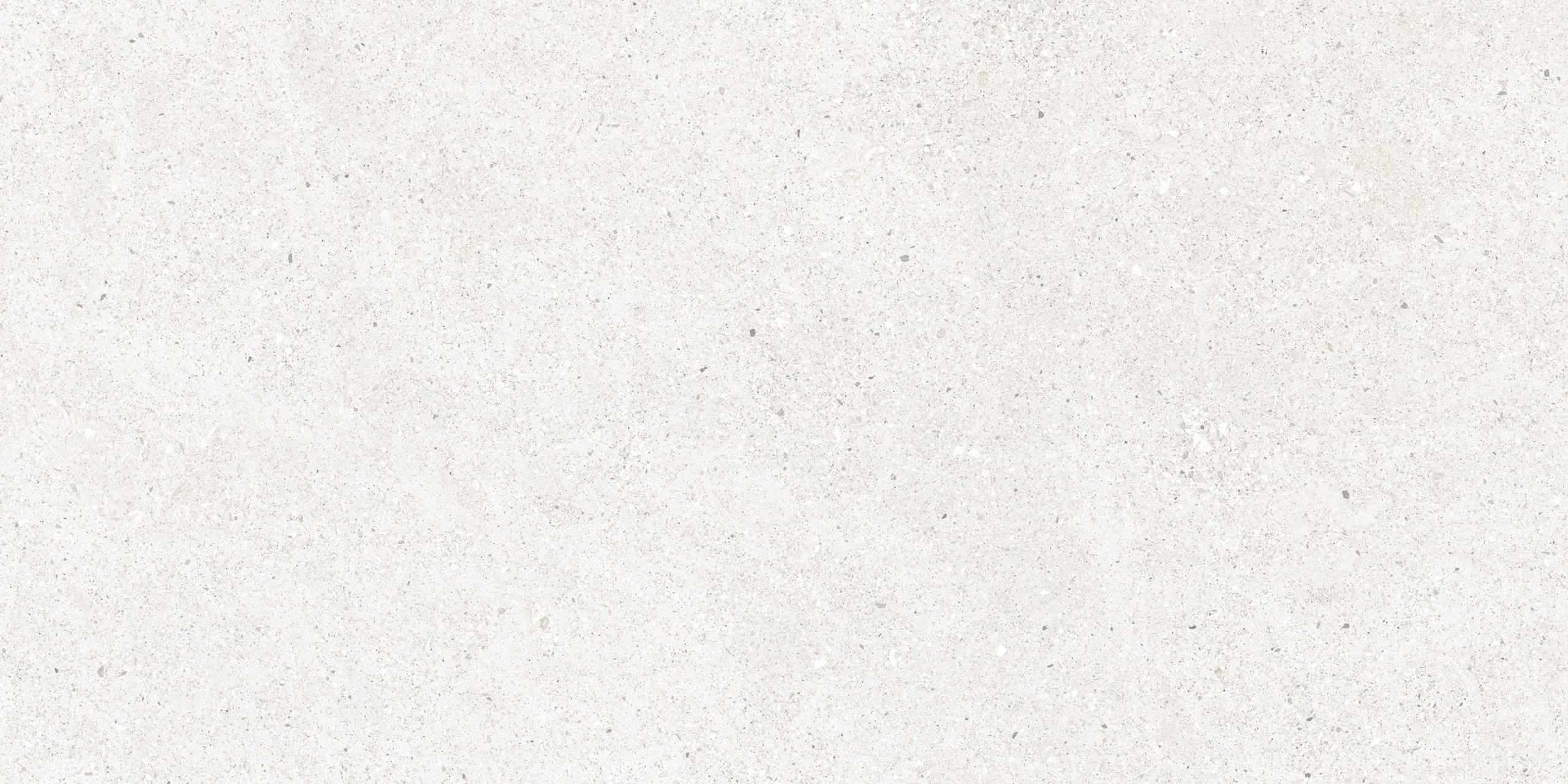 Perla Bianco Керамогранит светло-серый CR6012G0481R 59,5×119,1 матовый