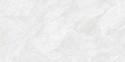 Керамогранит Regnum Bianco Керамогранит светло-серый CR6012G0401R 59 Керамогранит Regnum Bianco Керамогранит светло-серый CR6012G0401R 59