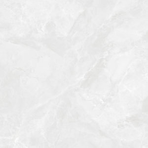 Керамогранит Regnum Bianco Керамогранит светло-серый CR6060G0391R 59 Керамогранит Regnum Bianco Керамогранит светло-серый CR6060G0391R 59