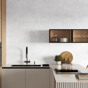 beton_evo_1