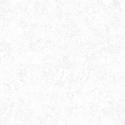 Вуд Вайт / Wood White 249*500